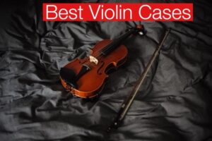 Best Violin Cases